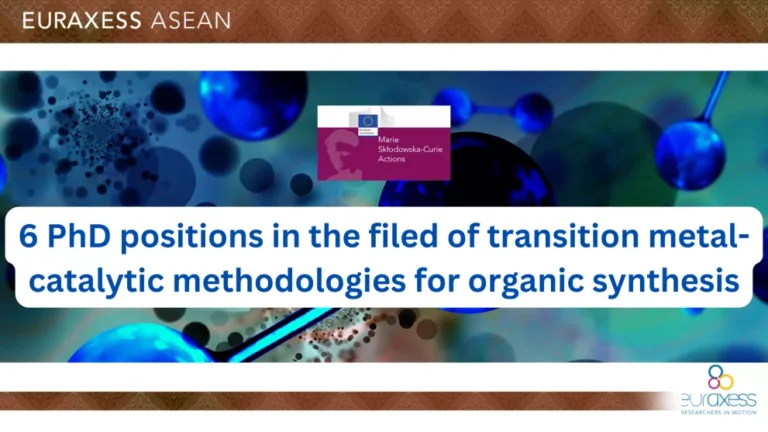 6 PhD Positions in the field of Transition Metal-catalytic Methodologies for Organic Synthesis